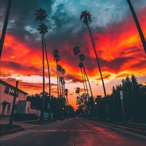 Meet your Posher, Sean